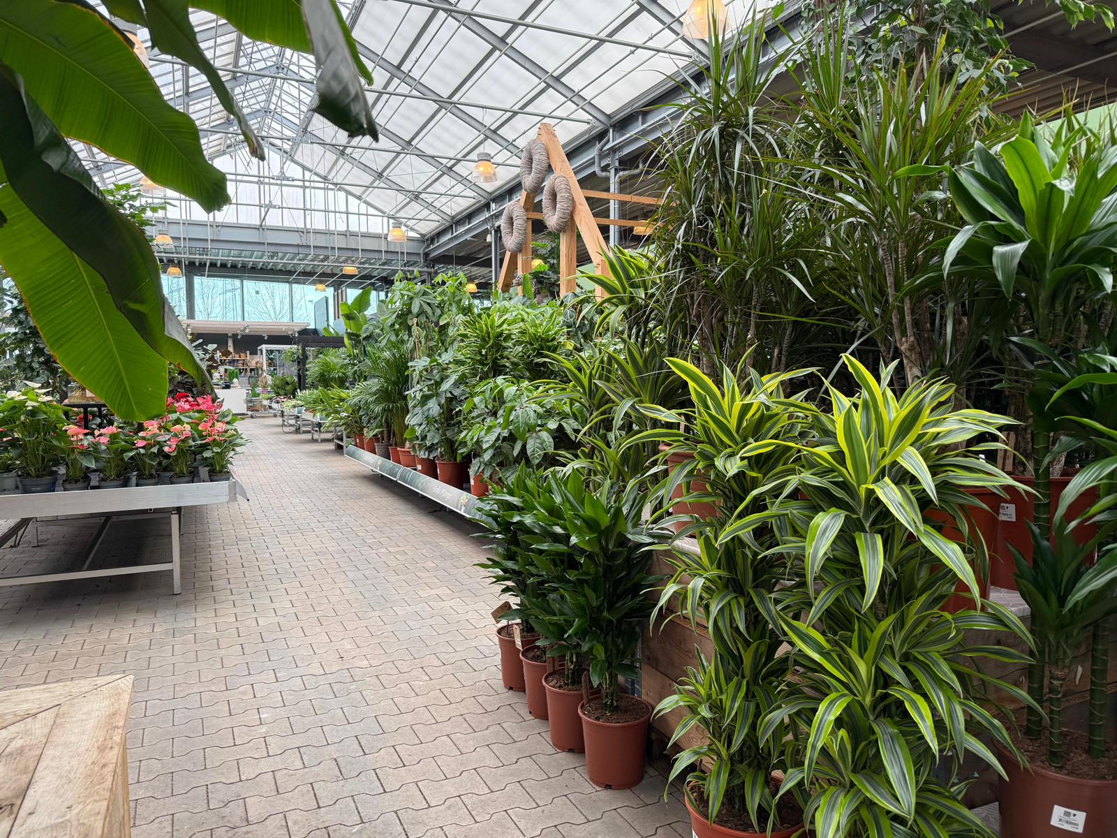 Afbeelding voor categorie Indoor- en outdoor concepten